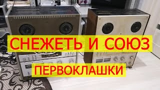 Снежеть110 и Союз МК110С1. Есть ли шансы на вторую жизнь?