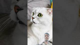 Sonya took revenge on me 🙀