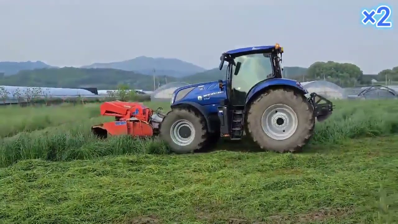 2025 라이그라스 시작!