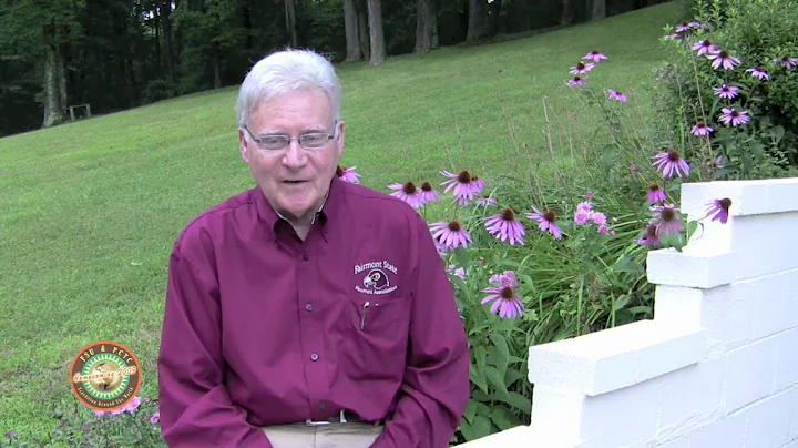 Homecoming Memories from Frank Pulice Jr