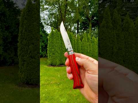 Opinel No.08 Stainless Steel Laminated Red Birchwood Folding Knife! Traditionalpocketknives.com