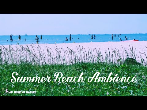 Summer beach ambience with beautiful piano music for instant Stress relief