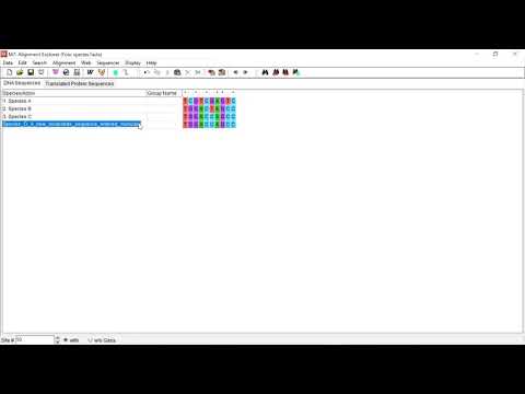How to perform bootstrap analysis in MEGA Bioinformatics software