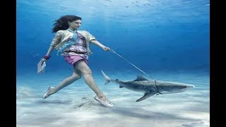 АКУЛАЛАР ХАМ АЕЛЛАРНИ ХУРМАТ КИЛАДИ