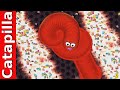 Wormate.io Best Gameplay Wormate.io