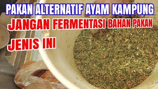 Cara Membuat Pakan Fermentasi Berprotein Tinggi Untuk ayam umur 1Bulan-PANEN Hanya Dengan YAKULT. 