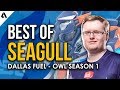Best Plays of Dallas Fuel Seagull | Overwatch League Season 1