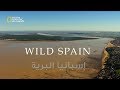 الحياة البرية إسبانيا البرية