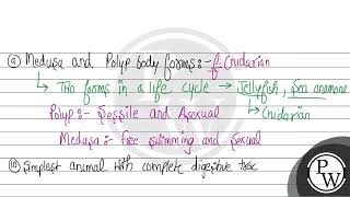 Match each description on the left with the corresponding term on the right. 8. Include the vert...
