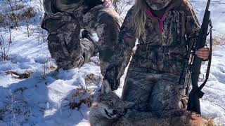 First Coyote Hunt X2 by Hike Brothers Outdoors 383 views 3 years ago 5 minutes, 49 seconds