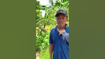 Xót xa cảnh hai mẹ con sống chuồng heo với bữa cơm đạm bạc