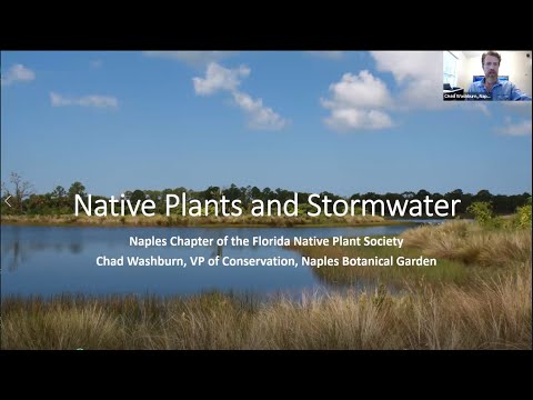 Naples Native Plants June 2020 Meeting Native Plants and Storm Water