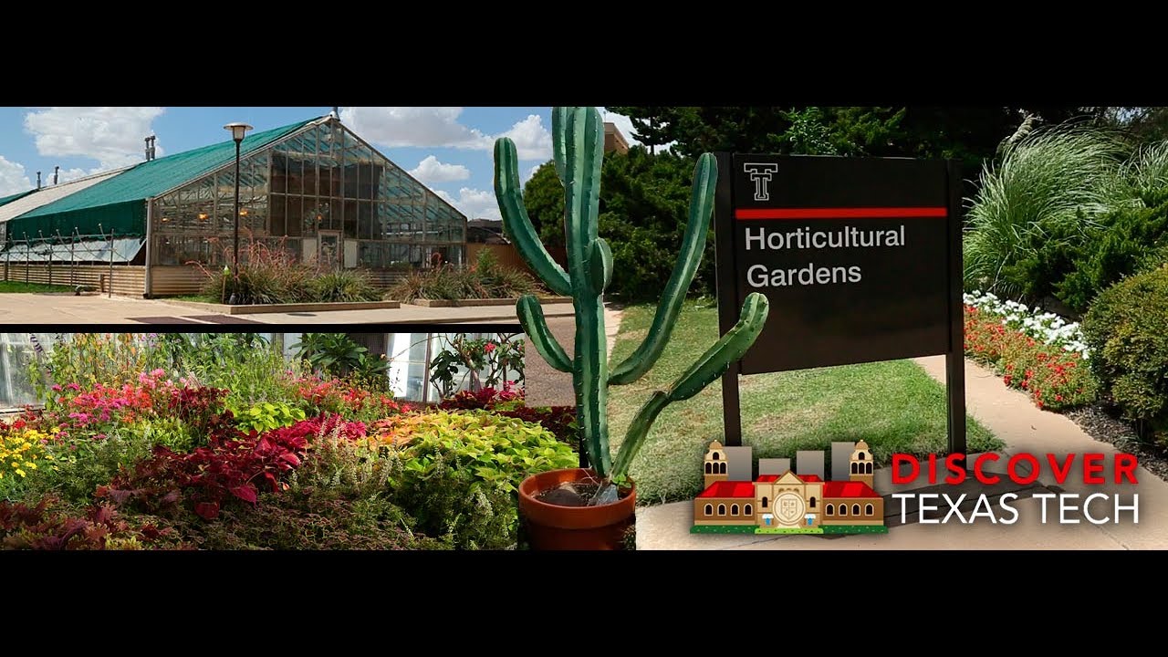 Discover Texas Tech Horticultural Gardens & Greenhouse Complex YouTube