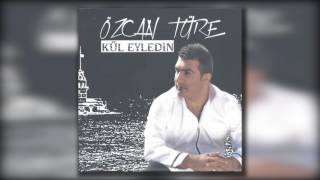 Özcan Türe - İnceden İnce Resimi