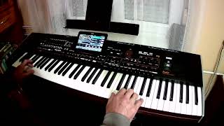 Regina - Day By Day Remix 2024 - Korg Pa4X Pro & Yamaha Modx6 Cover By Johnny