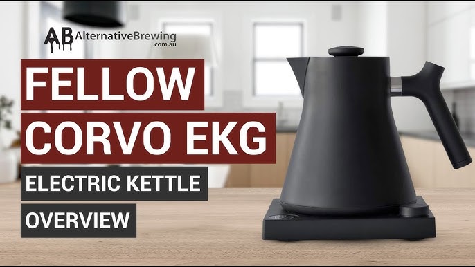 Fellow Stagg EKG Electric Kettle Review: A+ Temperature Control