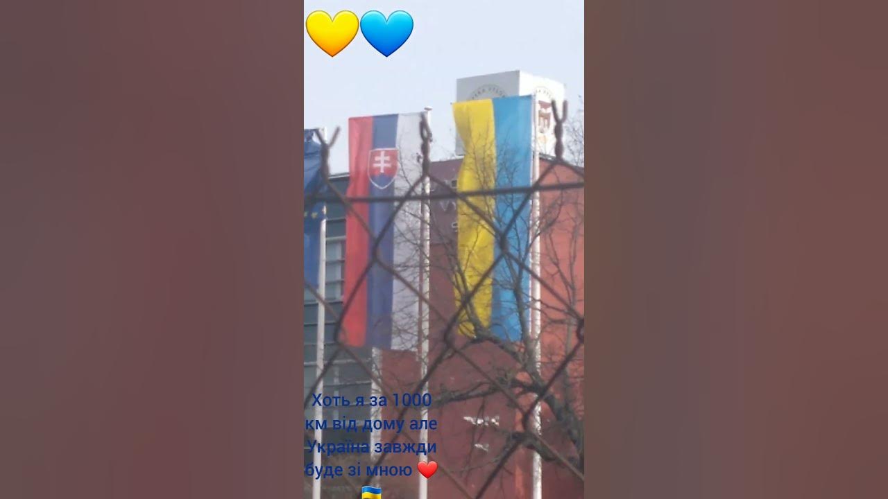 Жовто-блакитне сердце 💛💙 - YouTube