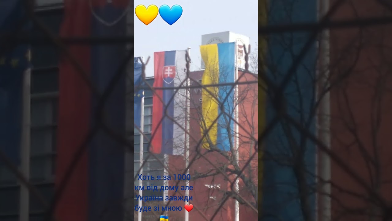 Жовто-блакитне сердце 💛💙