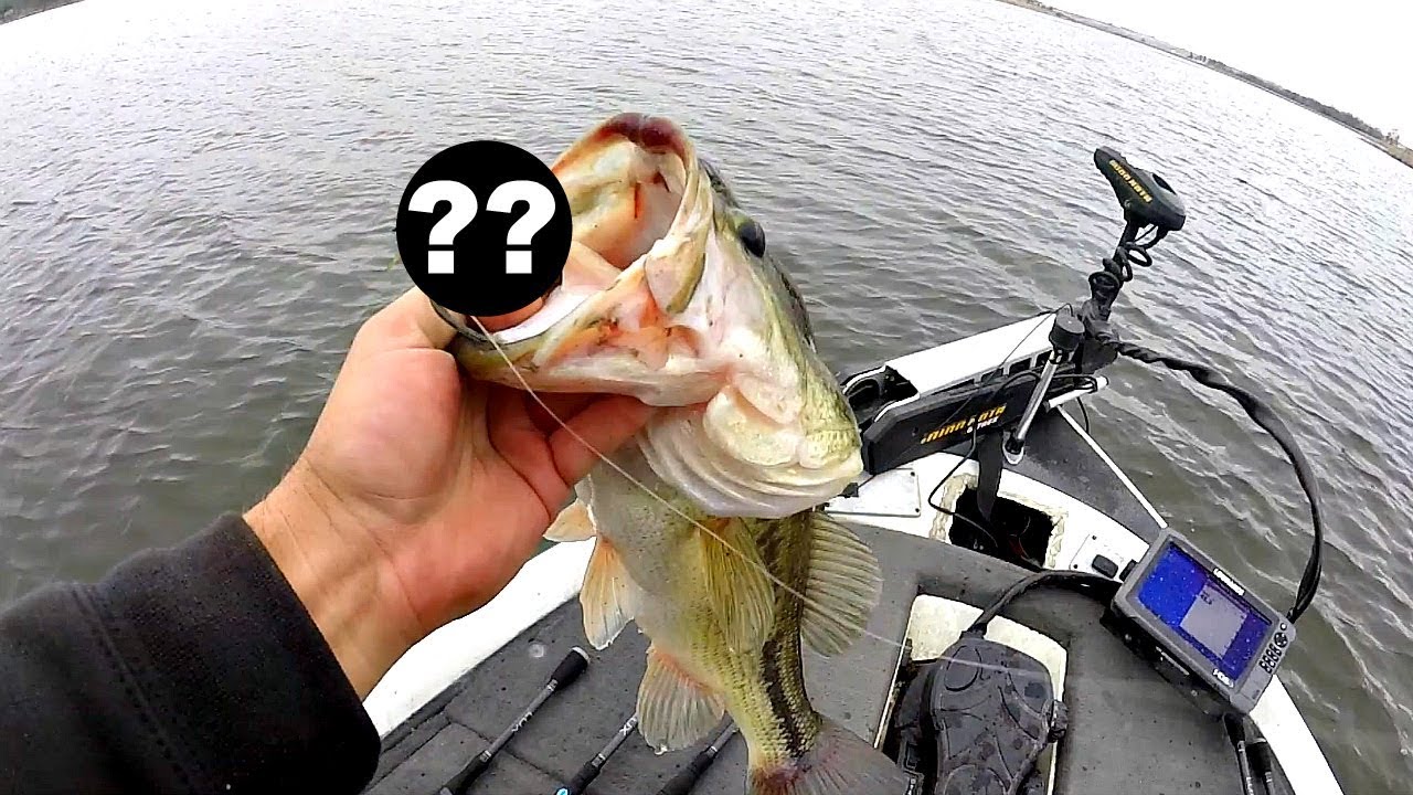 GIANT Spring Bass CAN'T RESIST my Magic Homemade Lure!!