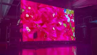 Questech P0.9 COB LED display 1000 nits brightness