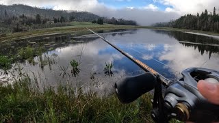 MAY Bass Fishing is AMAZING!! (My best day ever)