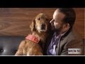 How a Golden Retriever Saved Army Veteran Luis Montalvan