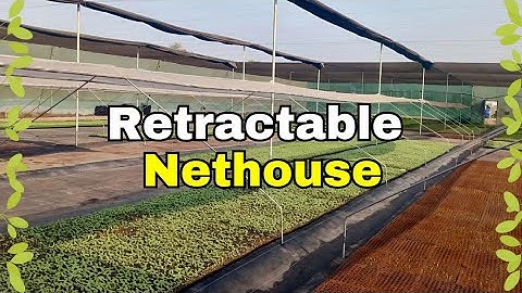 Retractable Wire Rope Nethouse