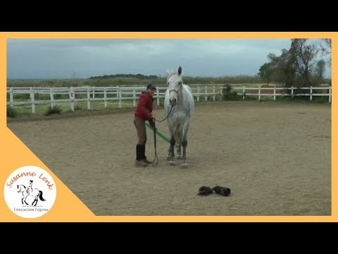 Video: Cómo No Sentirse Como Un Caballo Atrapado, Mantenerse Activo Y Alegre Parte 1