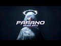PARANO AUDIO EDIT TikTok Version 