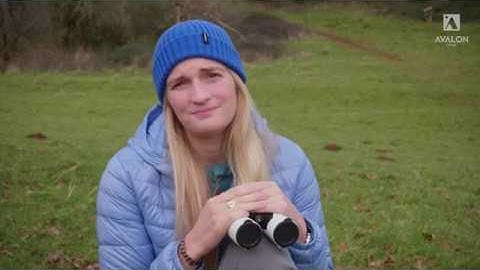 Avoid The 5 Mistakes Newbies Make When Buying Binoculars