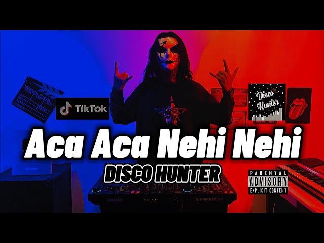 DISCO HUNTER - Aca Aca Nehi Nehi class=