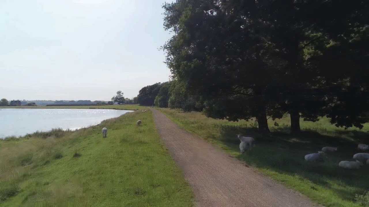 Hambleton peninsula Rutland water. beer dogs summer YouTube