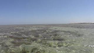 Море в Хургаде - Sea in Hurghada