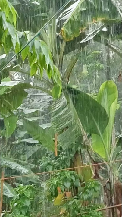 hujan deras di siang hari