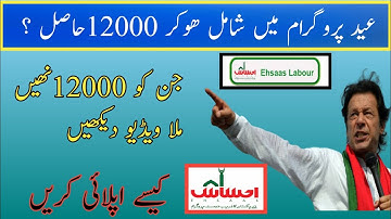 Ehsas Eidi Program | Ehsaas Emergency Cash Program | Ehsas Program 2020 by technical AAHEER