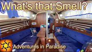 Whats that smell?  Ep.61