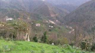 Aşıklar Köyü - Arsovos / Çayeli