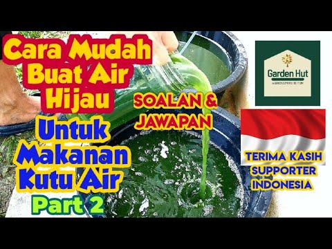 Video: Panduan Haiwan Peliharaan Untuk Menuju 'Hijau