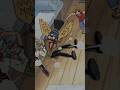LUFFY COMEU AS ISCAS 🤢🇧🇷 #onepiece #luffy #shorts #zoro #anime