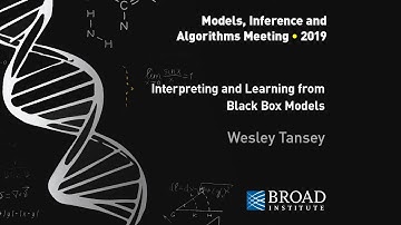 MIA: Wesley Tansey, Interpreting and learning from black box models