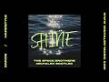 The Space Brothers - Shine (MICHALEK Bootleg 2026) #hardstyle