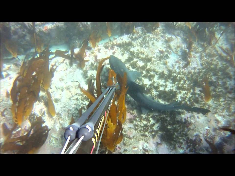 Freediving Black Rocks, Cape Point