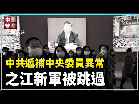 中共递补中央委员异常 之江新军被跳过｜新闻精选｜20221015