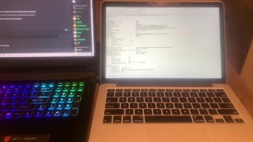 Community Challenge: Mina Testworld Mini Vlog