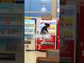空港で出会った迷惑女性の衝撃行動