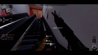 Dolphin Dive OP
