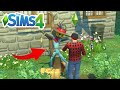 How To Get Patchy The Straw Man (Tutorial) - The Sims 4