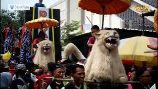 SUMUR SANGA ~ NUNUNG ~ BUROK PKC LIVE DESA CIKULAK KIDUL 2 JANUARI 2025‎@PKCOFFICIAL 