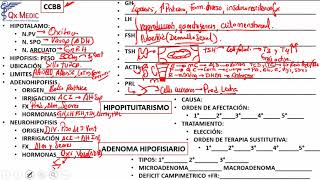 ENDOCRINOLOGIA- Repaso ENAM