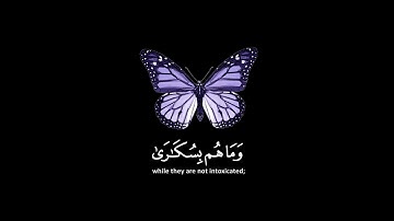 سوره الحج | حالات واتس اب قرأنيه قصيره ♥️♥️